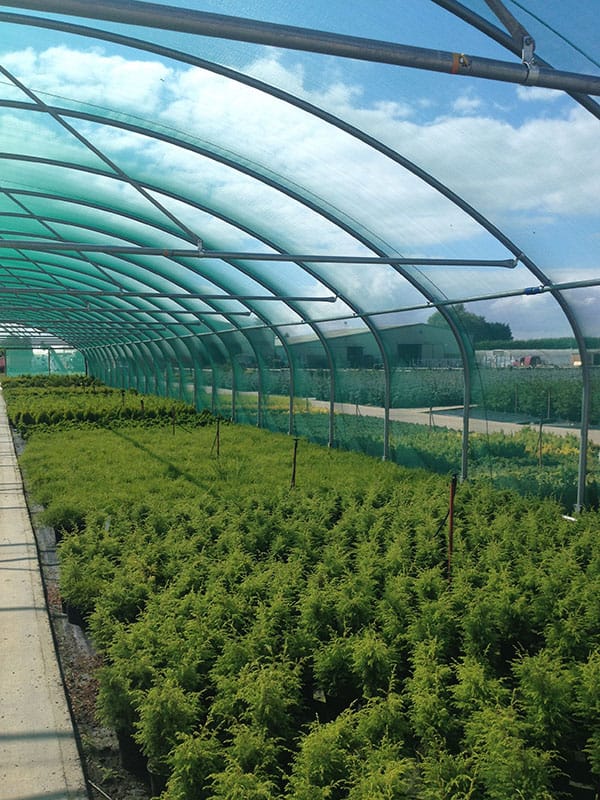 web-tall-polytunnel-shade-netting