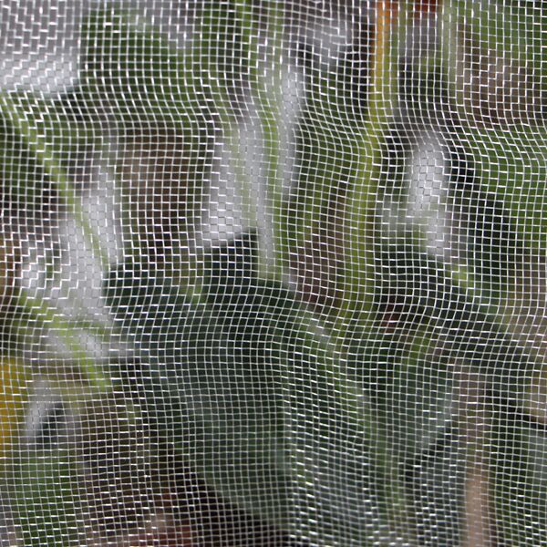 INSECT-MESH-1