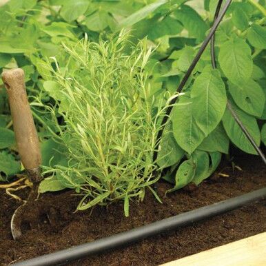 Pot Dripper Irrigation