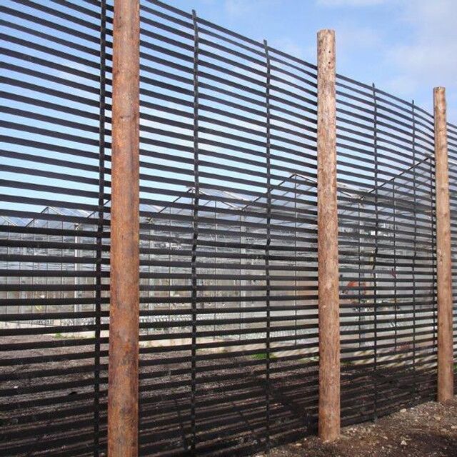 paraweb-windbreak__34648