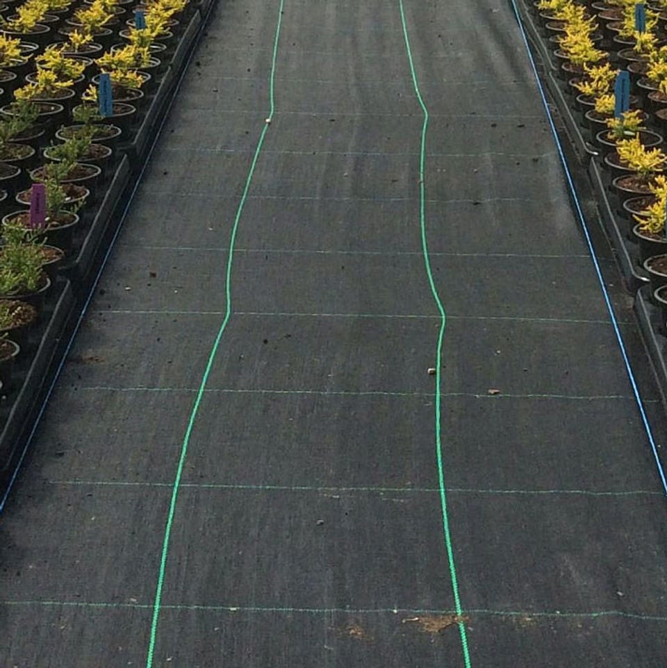 Garden and Allotment Ground Cover Garden and Allotment Ground Cover