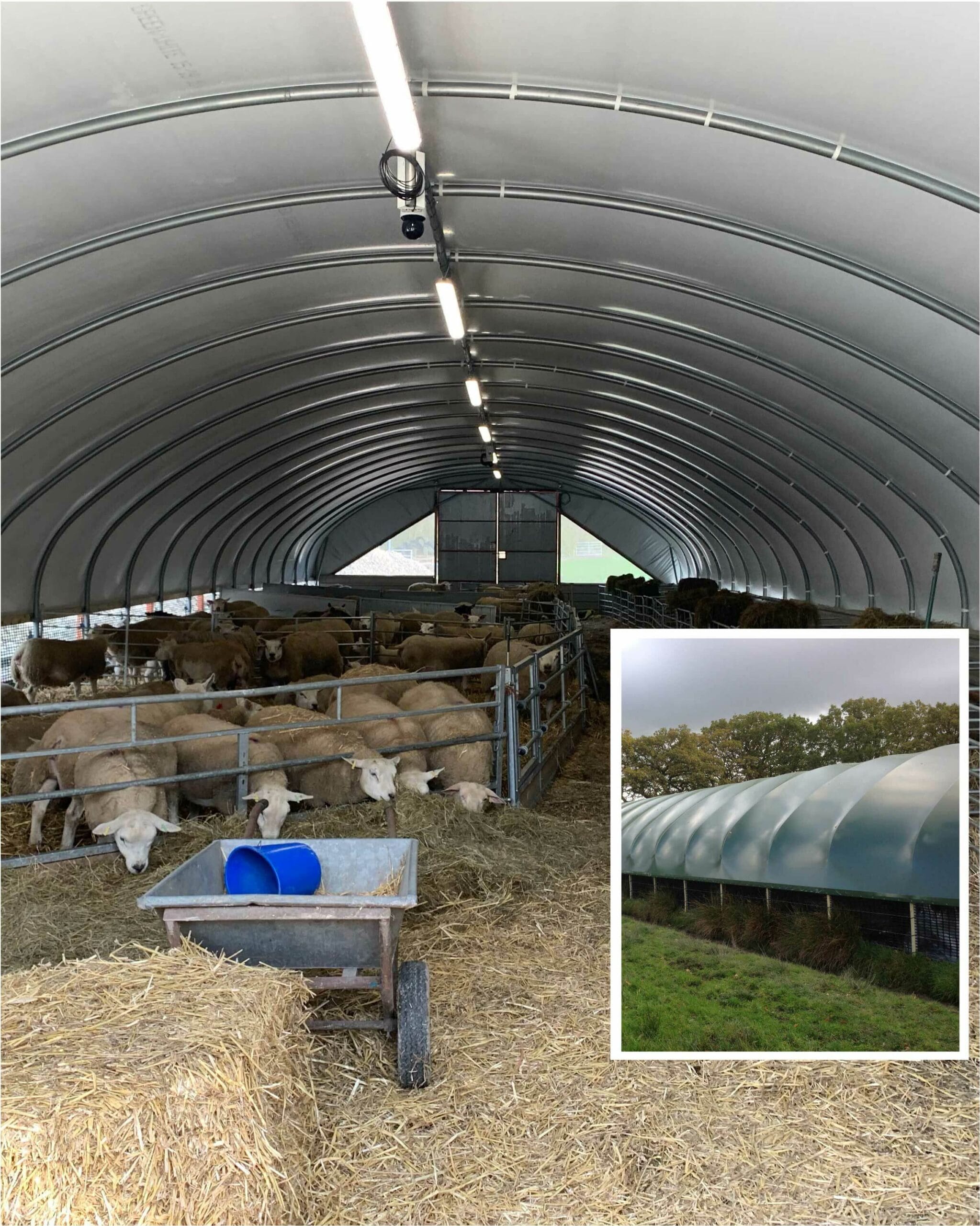 green-whiteartboard-2-20