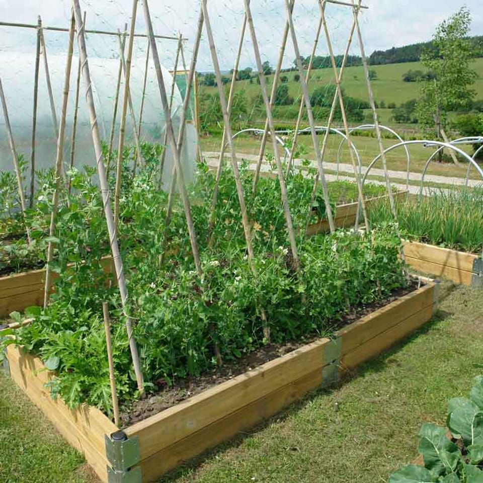 Northern Polytunnels Raised Bed