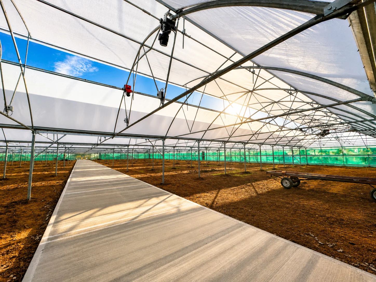 Bransford Webbs Multi Span Polytunnel Bransford Webbs Multi Span Polytunnel