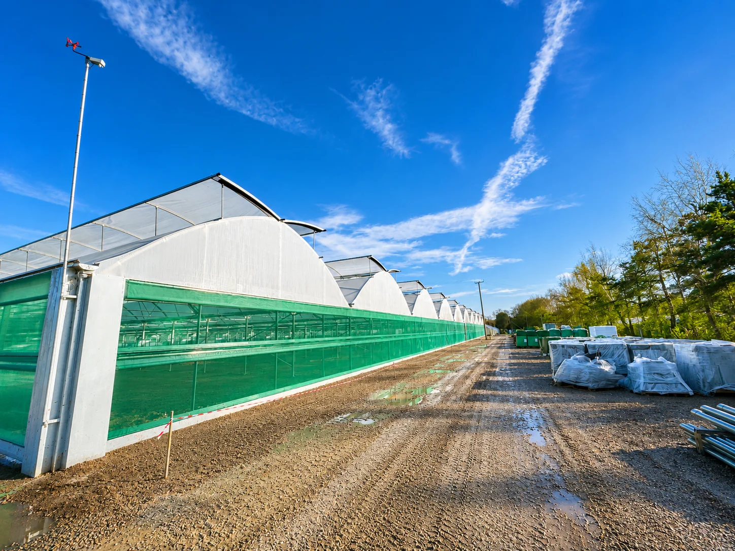 Bransford Webbs Multi Span Polytunnel