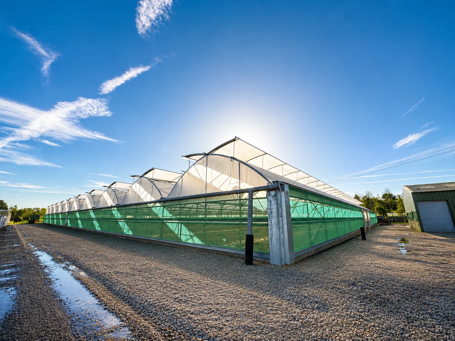 Bransford Webbs Multi Span Polytunnel