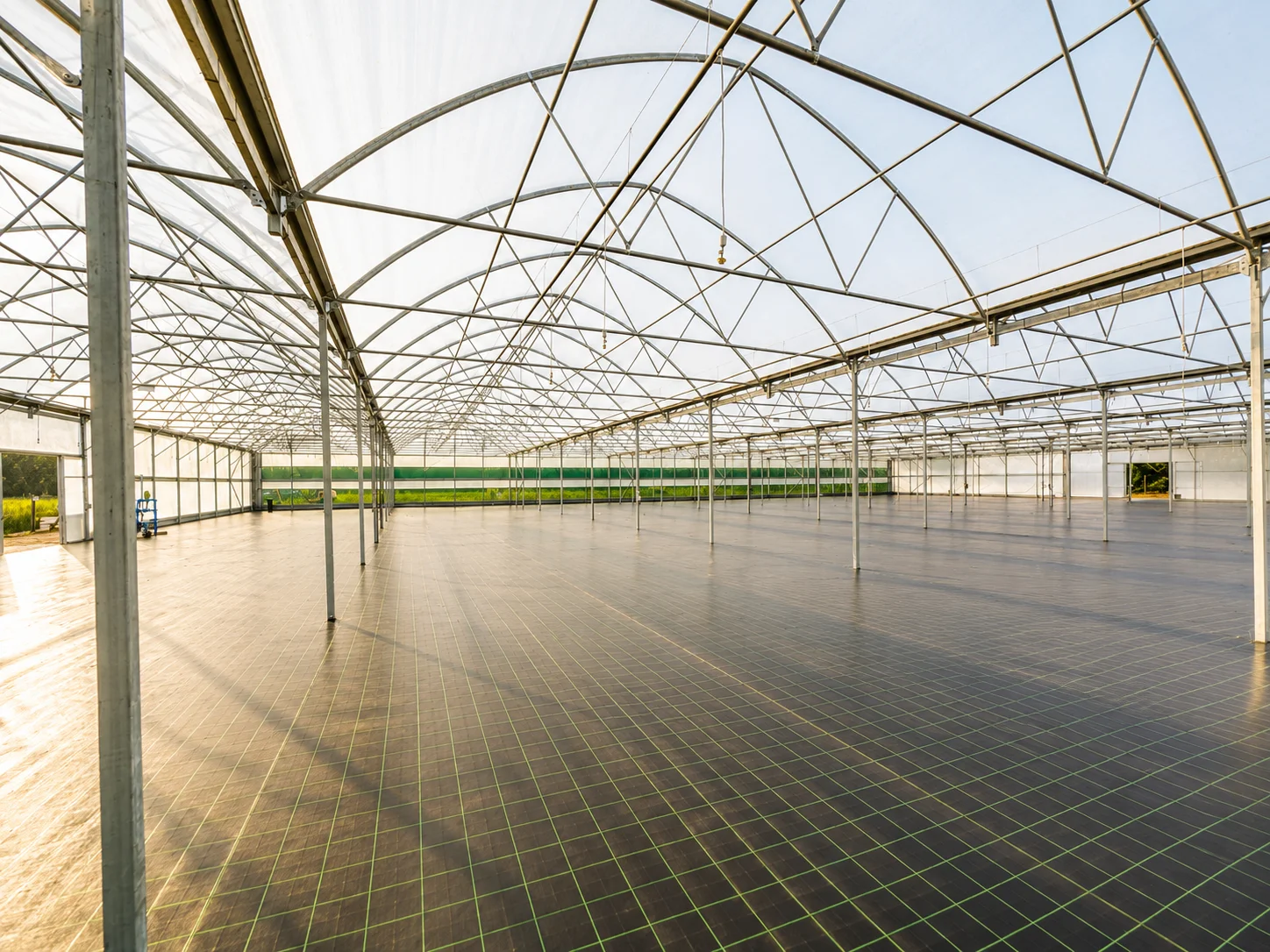 Palmstead Multi Span Polytunnel